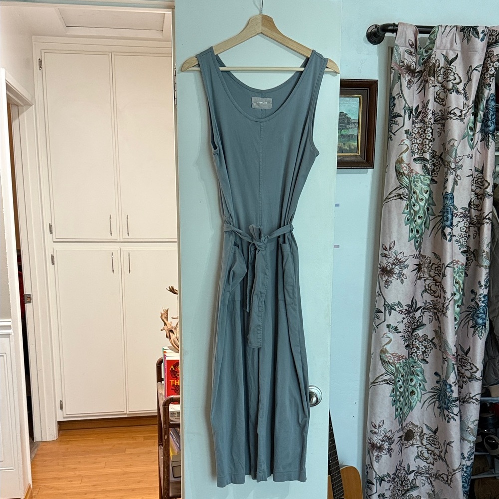 Everlane Blue Sleeveless Jumpsuit